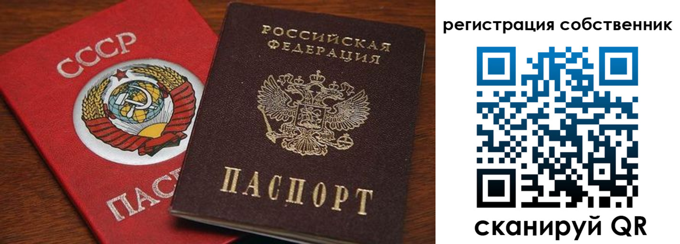временная регистрация поиск в Электрогорске
